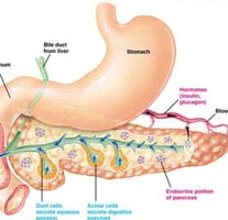 diabetes care