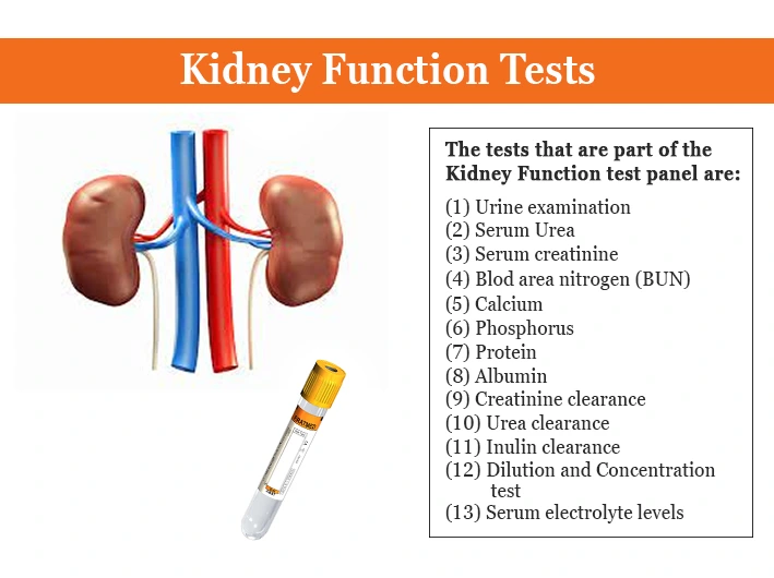 kidney function test