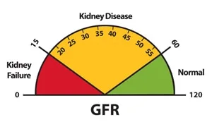 Chronic Kidney Disease