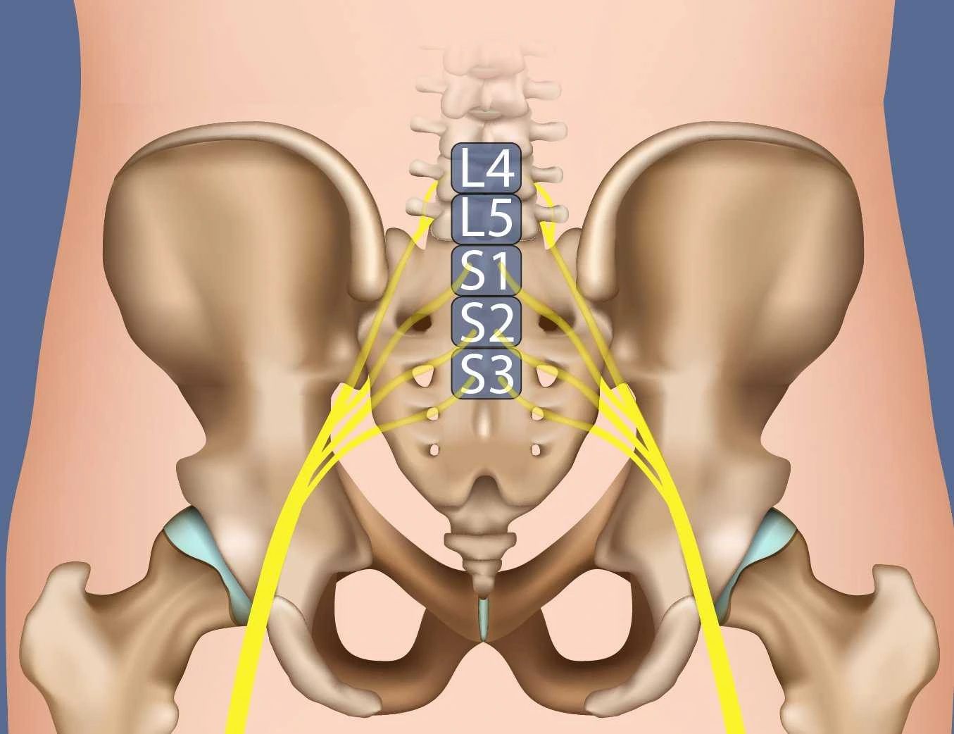 cervical spondylosis