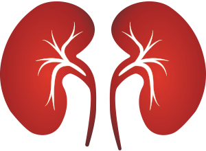 Chronic Kidney Disease